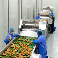 Manga automática Juice Processing Machine Production Line 1t/H - 20t/H