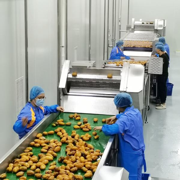 Specialized processing machine for mango puree processing production line