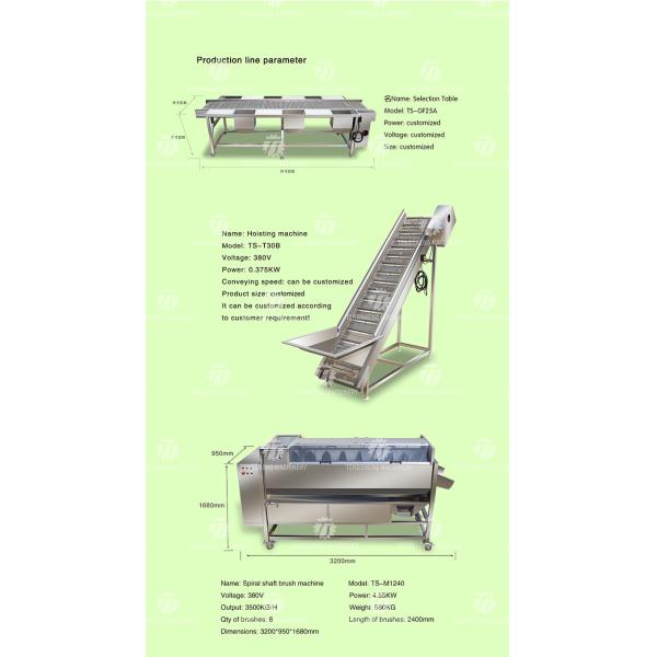 380V Fruit And Vegetable Processing Line Sweet Potato Picking Hair Roller Bubble Cleaning Drying Cutting Machine