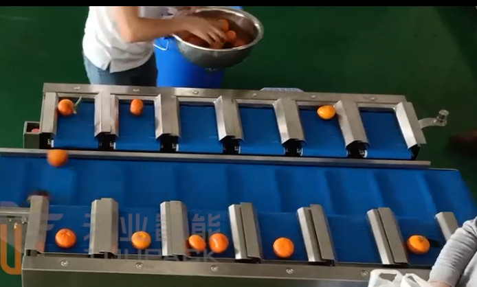 40BPM 10 весить ленточного транспортера Tangerine Weigher Multihead плода головы головы 14 оранжевый