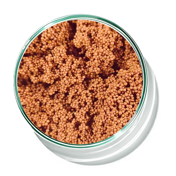 Biochemical Tail Water Treatment Reddish-Brown Decolorizing Resin for COD