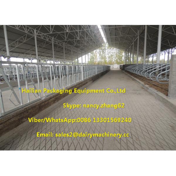 Горячего погружения гальванизировать связь свободно ставит части в стойло оборудования фермы коровы амбаров молокозавода