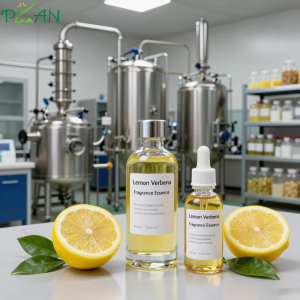 Body Wash Fragrances  Lemon Verbena Fragrance Essence  Oil For Shampoo and Shower Gel & Scented Soap Making- IFRA