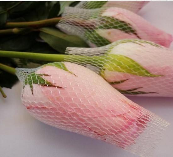 Polyethylene Mesh Sleeves Protective Mesh Netting Rose Net Cover Food Grade