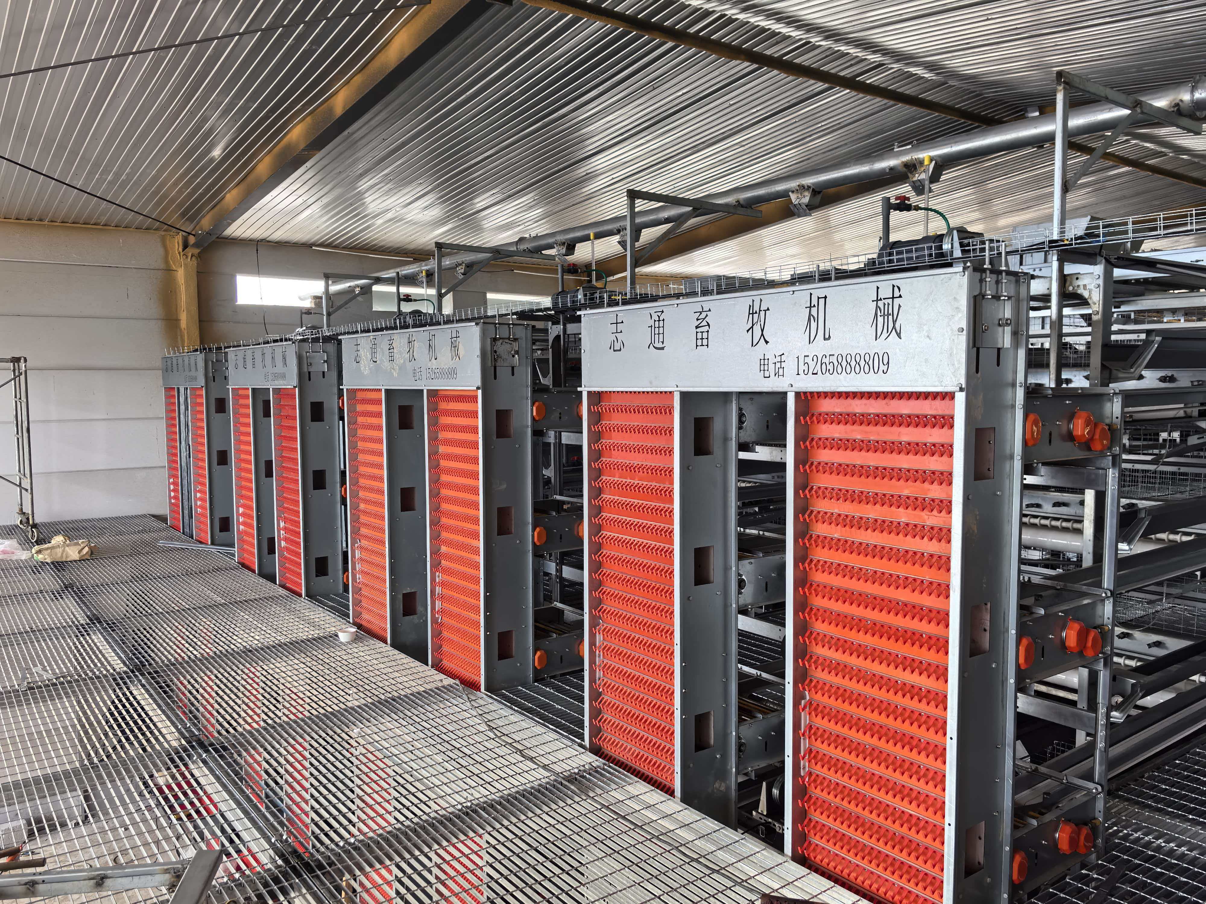 Automatic egg collecting system