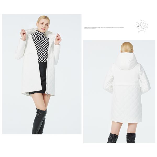 Conception sans couverture, mode et structure fonctionnelle, beau paysage printanier