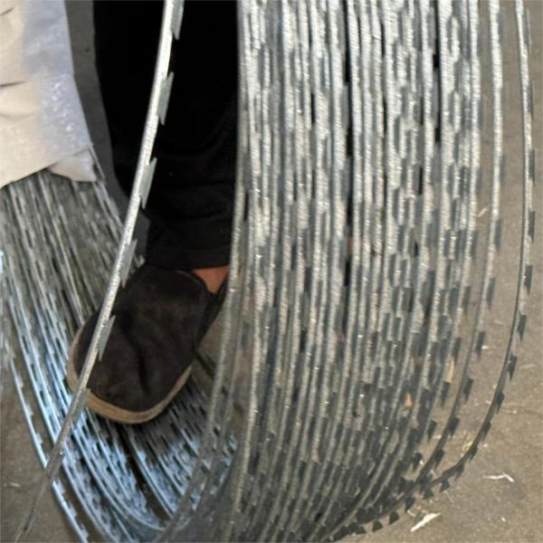 Gaiolas de colocação galvanizadas mergulhadas quentes do ovo para o tamanho da exploração agrícola de galinha 2m*2.4m*2m