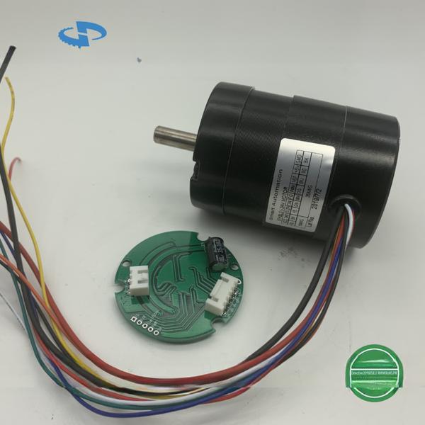 Высокий крутящий момент 12v 24v 36v 48v Micro Pm Electric Dc Brushed Brushless Motor Спецификация таблицы данных Китайская фабрика