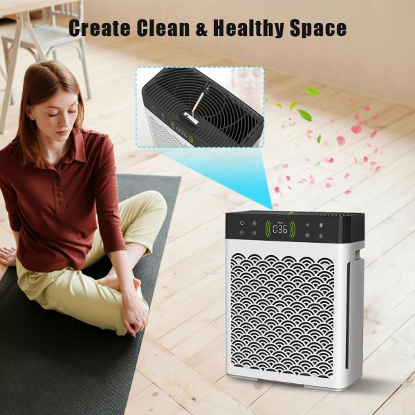 OEM Indoor Dehumidifier And Air Purifier Cat Litter And Dog Urine Deodorizer