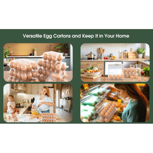 Clear Plastic Egg Cartons - Clear Containers With Date Labels - Bulk Egg Storage Set - Reusable Storage Containers - 12-Count, Pack Of 48