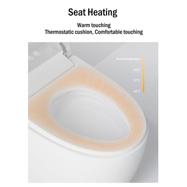 Tesia Modern Inodoro Ceramic Sensor Сантехника Автоматический туалет Напольный умный туалет для продажи