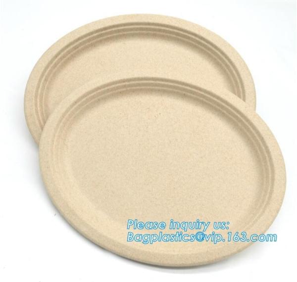 Biodegradable plate food grade green sugarcane bagasse plate,10 sugarcane ecofriendly disposable oval plate bagease pac