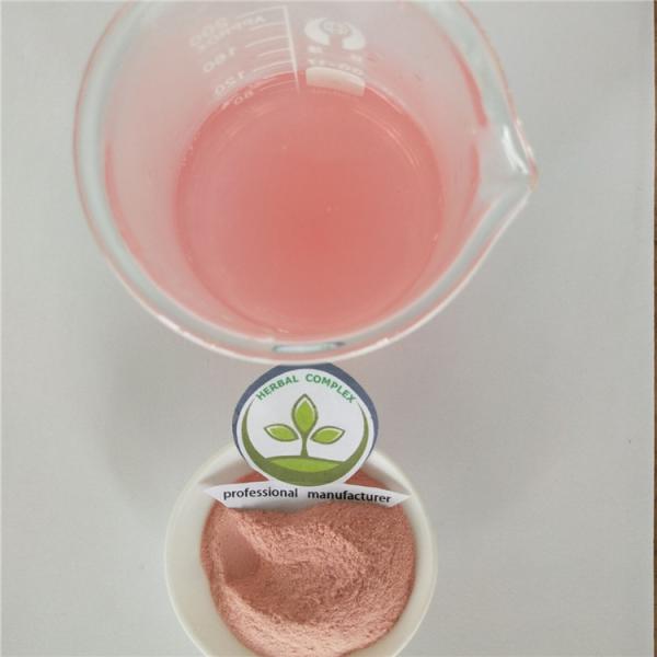 strawberry friut juice powder buy best spray dried strawberry health benefits for baking strawberry flavor powder