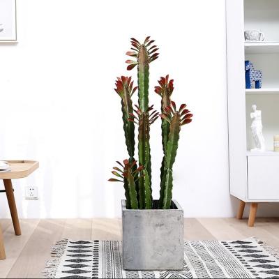 Planta suculento artificial dos bonsais feitos sob encomenda dos ornamento do cacto