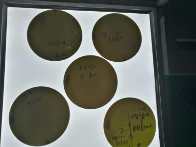 Bolacha do carboneto de silicone de 3 polegadas, sic características transientes excelentes da carcaça