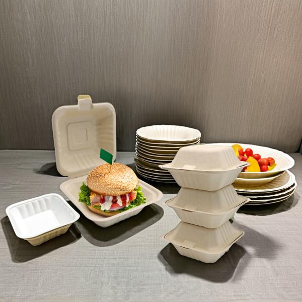 Cana-de-açúcar Pulpa de bambu Hambúrguer Caixa Festas de campismo Almoços Pratos de embalagem de alimentos Placas feitas de papel