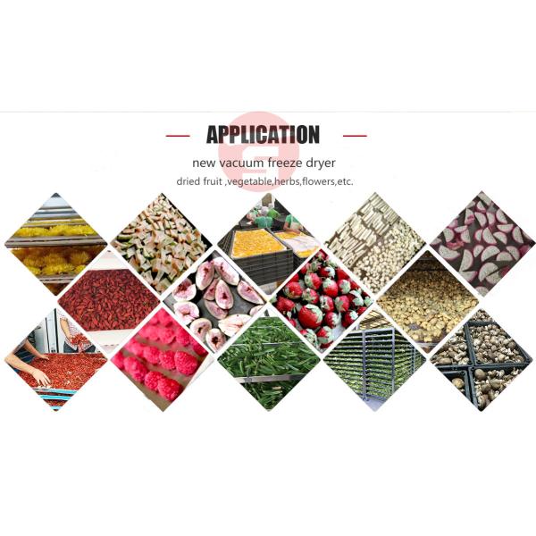 Машины теплового насоса SGS вагонеток промышленной более сухой антиржавейные 8 10 12