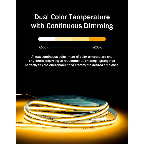 Зеленый светодиодный светодиодный светодиод 8 мм 320 leds 12v24v для наружного и внутреннего использования