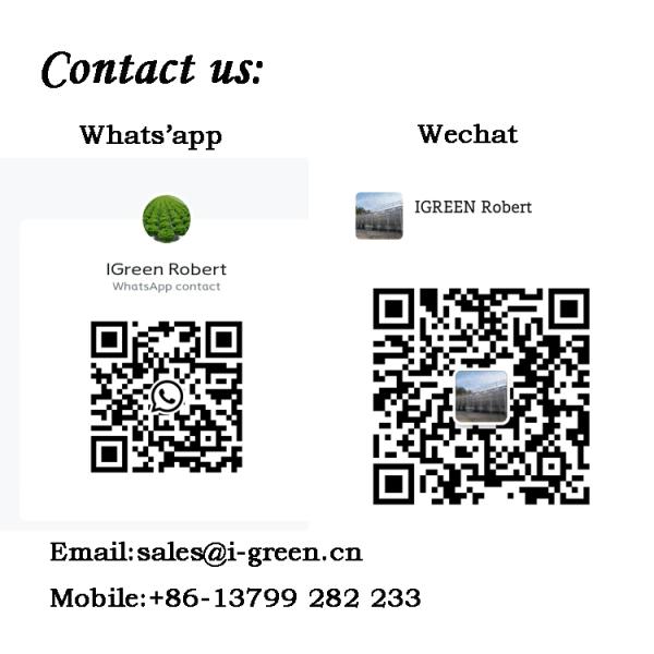 Sistema de acuicultura de camarón de recirculación de fácil instalación Sistema Ras Pesca