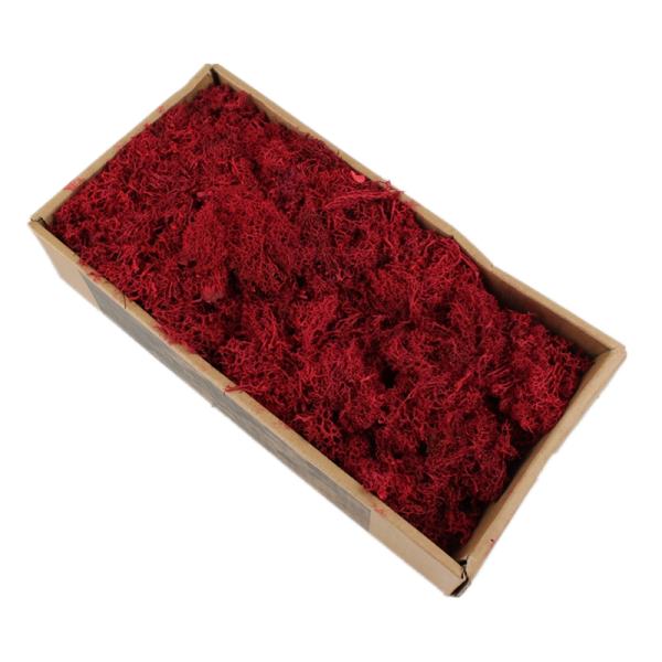 Stabilized Valentine Gift Preserved Natural Moss In Box