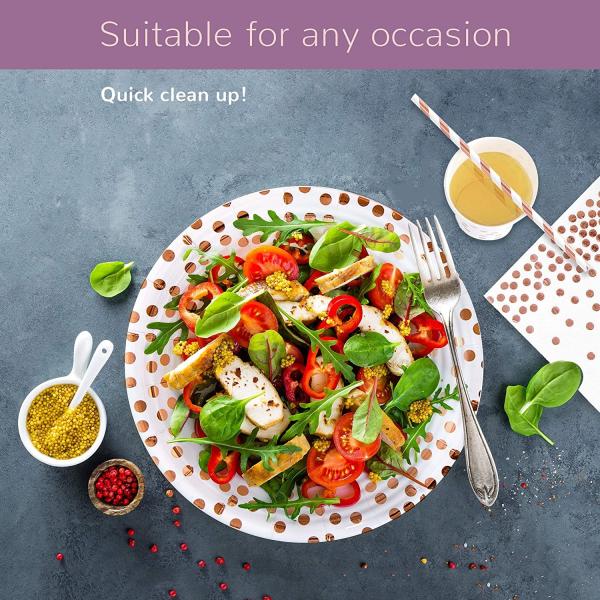 50 Plates Rose Gold Chic Christmas Disposable Dinnerware Sets