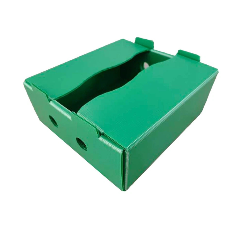 PP corrugated plastic boxes for cold chain transport—lightweight, waterproof, durable, reusable, and built to protect products during handling and delivery.