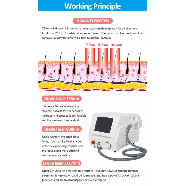 машина удаления волос лазера салона диода 755нм 808нм 1064нм экран касания 10,4 дюймов