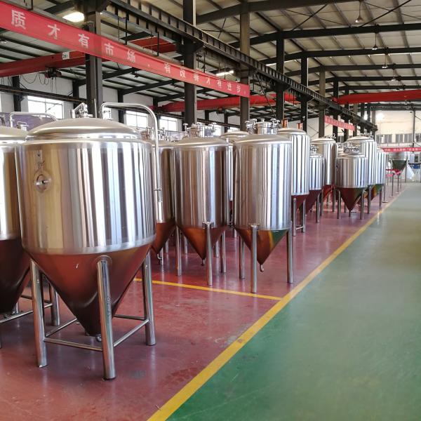 200L 300L Stainless Steel Cylindro Conical Fermenter Beer Processing Equipment