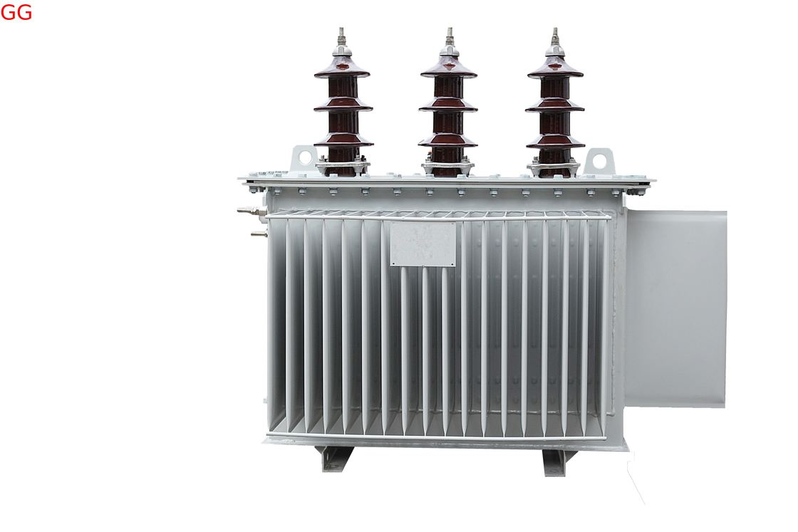 Oil Immersed Distribution Transformer 10-30kV 50-160kVA with Silicon Steel Core for Power Distribution