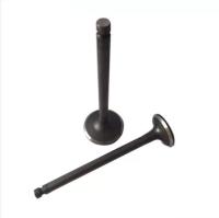 TEM Mitsubishi 4D31 4D30 Diesel Engine Valve ME011244 ME011245 Seat Guide