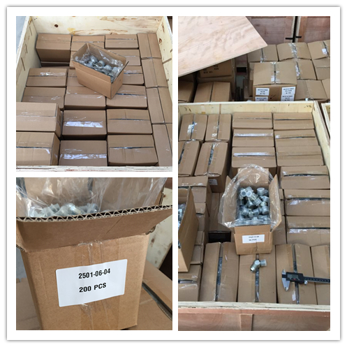 Компактный штуцер шланга гидросистемы 22611 нержавеющей стали с женским потоком БСП