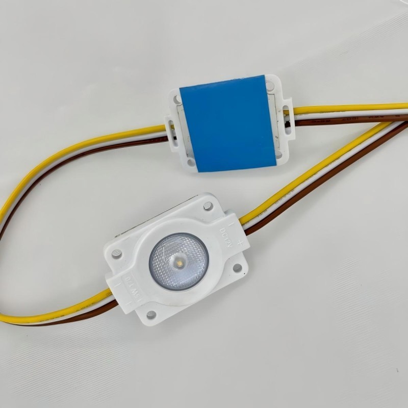 CCT dimmable led module 2700-6500k dual white DC12V 1.5W 170 degrees waterproof