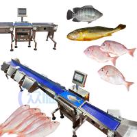 Machine de tri des poissons à commande informatique