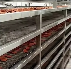 AISI 304 Sprocket Driven Drying Mesh Belt Conveyor Stainless Steel Wire Belt For Continuous Drying Line