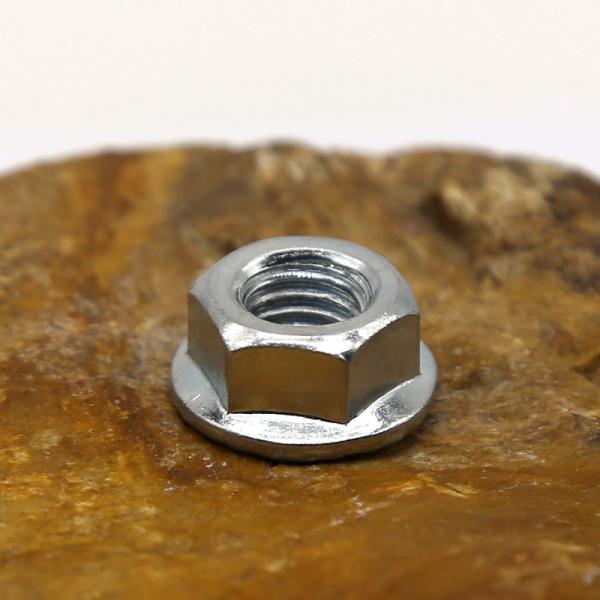 Cold Heading Customized Stainless Steel Nut Metric Systems DIN ISO Standard