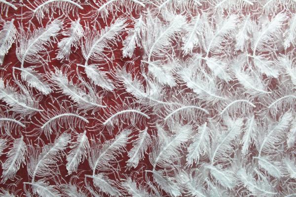 2017 Hot Sale Garment Accessories White Fether  Embroidery Lace Fabric  With Sequin