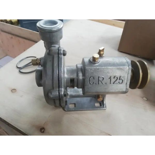 CR125 Marine Pump Stainless Steel Oil Pump Sea Water Pump Electric Diesel Engine Spare Parts