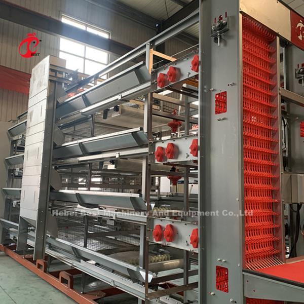 Modern H Type Automatic Chicken Cage Equipment For 25000 Birds Farm Emily