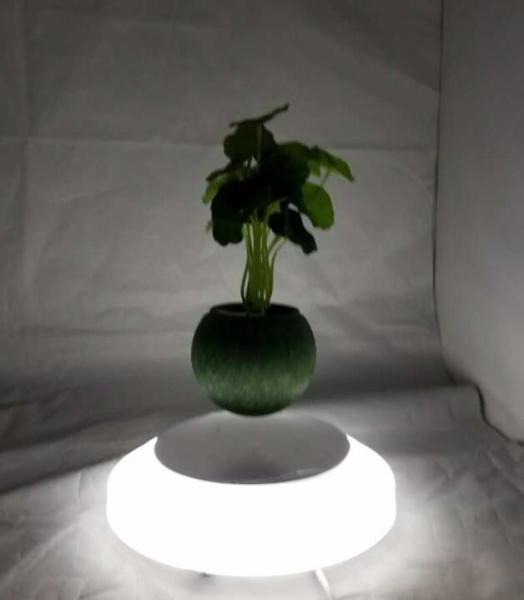 led light magnetic levitation floating air bonsai flower pot tree plant