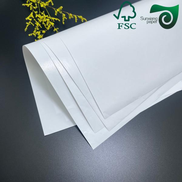FSC C2S Double Side Coated Glossy Art Paper  Smooth Surface High Whiteness