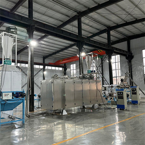 120kg/ H 22KW Dry Pet Food Production Line Dog Treat Extruder 3mm