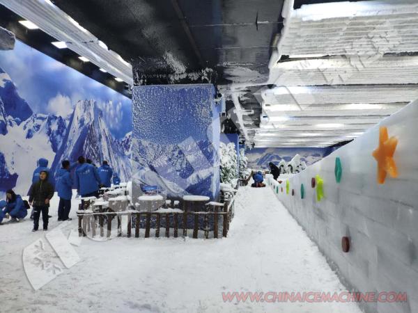 Outdoor Indoor Four Seasons Ice Snow Park Snow Scenery and 300Kg Ice Storage Capacity