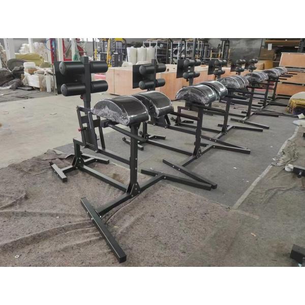 Складчивый GHD Bench Glute Ham Developer для взрослого оборудования для обучения источнику питания