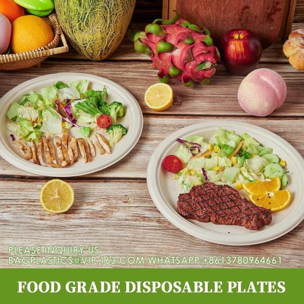 100% Compostable 10 Inch Paper Plates, Heavy Duty Paper Plates, Disposable Biodegradable Eco-Friendly Sugarcane