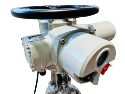 200NM IP67 Multi Turn Actuador Elétrico Personalizado Com Proteção Térmica