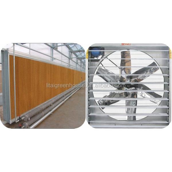 Большая прозрачная пластиковая пленка с многопролетным тепличным палатком для выращивания прозрачная и прочная