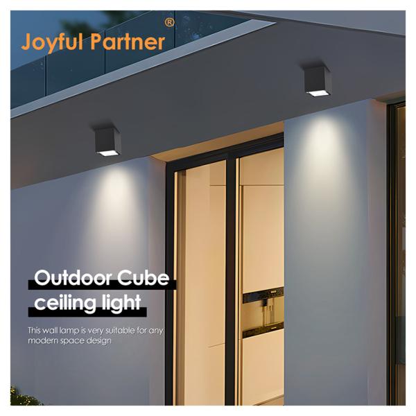  LED Wall Washer Light Outdoor Luminaire IP65 Waterproof 8W LED 12V 24V 220V Surface Mounted For Decoration