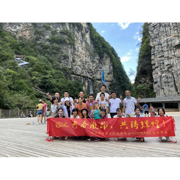 Shenzhen Mesky Technology Co.,Ltd