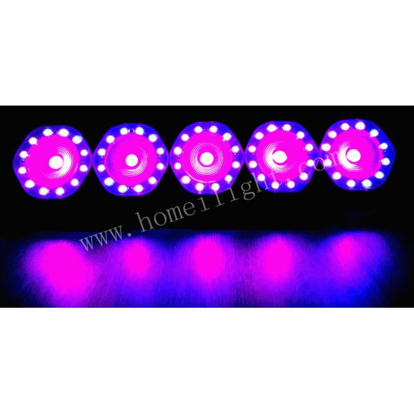 Portable LED Wall Washer Light  Aluminum 5pcs 30W LED Matrix Light 5 Eyes