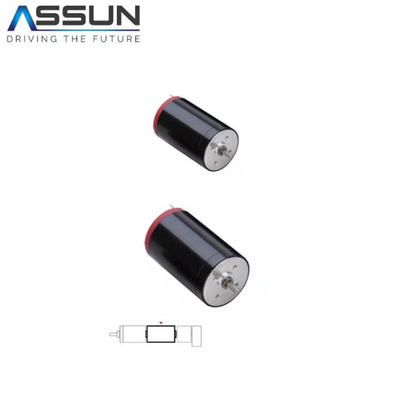 DC Coreless Brush Metal Motor.DC 3V6V12V24V Metal Brush Coreless Motor L32mmD25mm